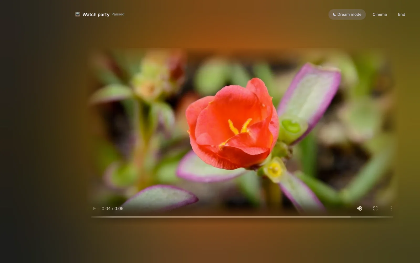 A watch party in Dream mode. A video of a red flower plays in the middle and the whole room glows with its colors.